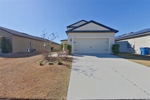 30161 Fedora Cir in Brooksville, FL - Building Photo