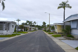 Sunset Palms in Pinellas Park, FL - Building Photo - Building Photo