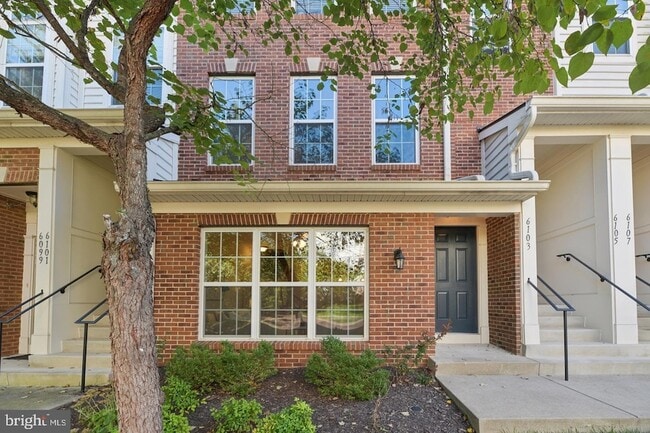 6103 Aster Haven Cir, Unit 149 in Haymarket, VA - Building Photo - Building Photo