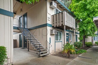 1185 Meadow Ln in Concord, CA - Building Photo - Building Photo