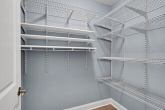 972 Tidalwalk Dr in Wilmington, NC - Building Photo - Building Photo