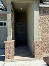 141 Sonterra Dr in San Marcos, TX - Foto de edificio - Building Photo