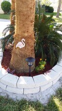 2110 village crossing trail in Spring, TX - Building Photo - Building Photo