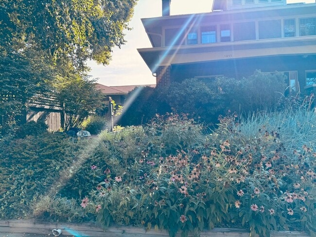 property at 1011 S 9th St