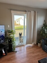 15 Magazine St in Saint John, NB - Building Photo - Building Photo