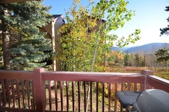 213 Buffalo Dr in Silverthorne, CO - Building Photo - Building Photo