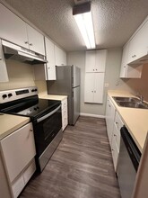 1514 Forest Trail in Austin, TX - Building Photo - Building Photo