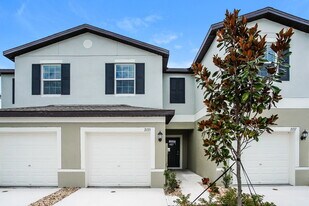 2133 Great Sapphire Ln in Lutz, FL - Building Photo