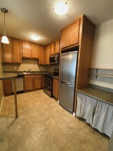 3729 Snelling Ave in Minneapolis, MN - Building Photo - Building Photo