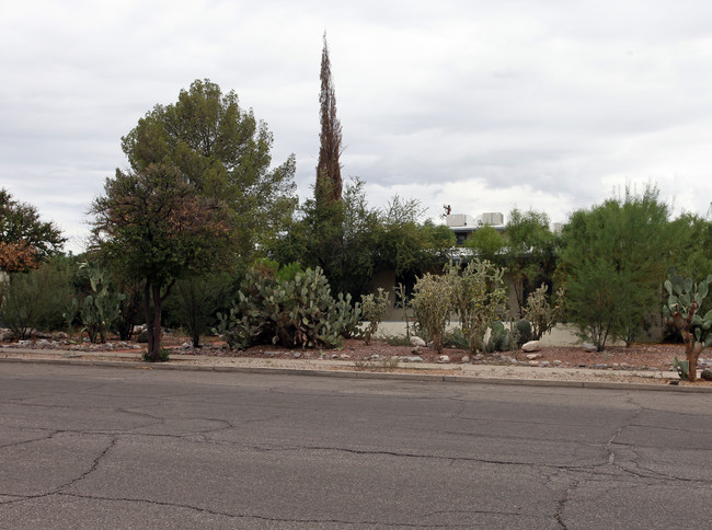 1750 E 10th St in Tucson, AZ - Foto de edificio - Building Photo