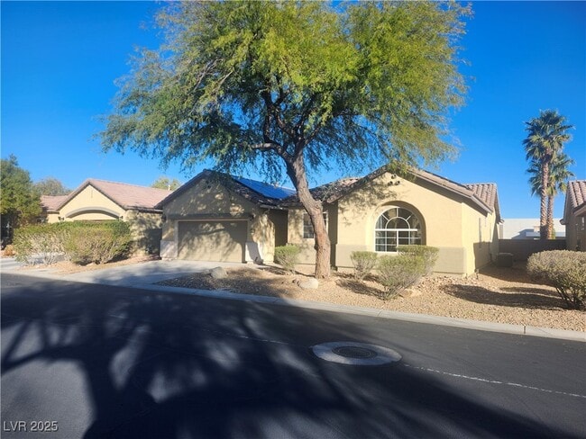 5154 Walbrook Ln in Las Vegas, NV - Building Photo - Building Photo