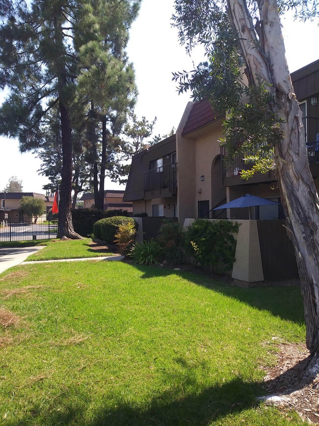 Teton Pines Apartments in Escondido, CA - Building Photo - Building Photo