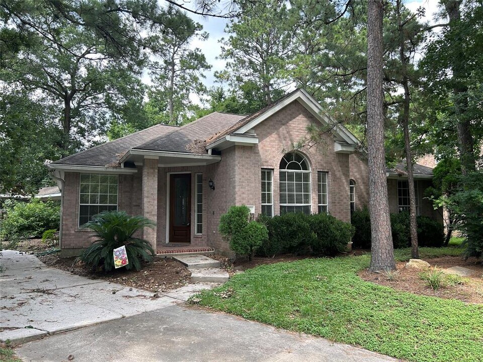 26 Long Springs Pl in The Woodlands, TX - Building Photo