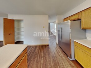 1907 Arbor Falls Dr in Plainfield, IL - Foto de edificio - Building Photo