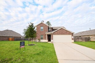 13918 Nicolet Arbor Ln in Conroe, TX - Building Photo
