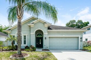 210 Montara Drive in Seffner, FL - Building Photo
