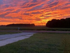 732 Jimmy Fisk Rd in Hazel Green, AL - Building Photo - Building Photo