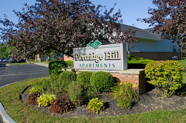 Partridge Hill Apartments in Rensselaer, NY - Building Photo - Building Photo