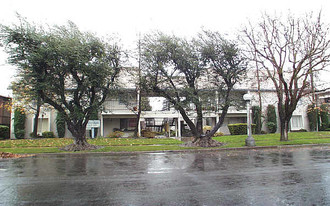 Walnut Manor Apartments