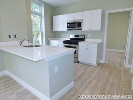 409 Dudley St in Boston, MA - Building Photo