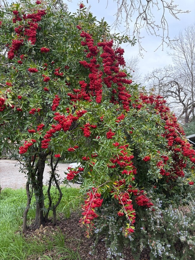 property at 3647 Walnut St