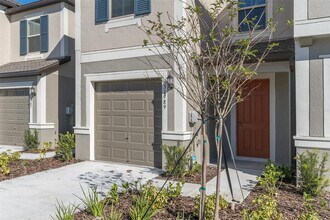 31989 Blue Passing Loop in Wesley Chapel, FL - Building Photo - Building Photo