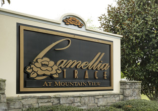 Camellia Trace in Maryville, TN - Foto de edificio - Building Photo