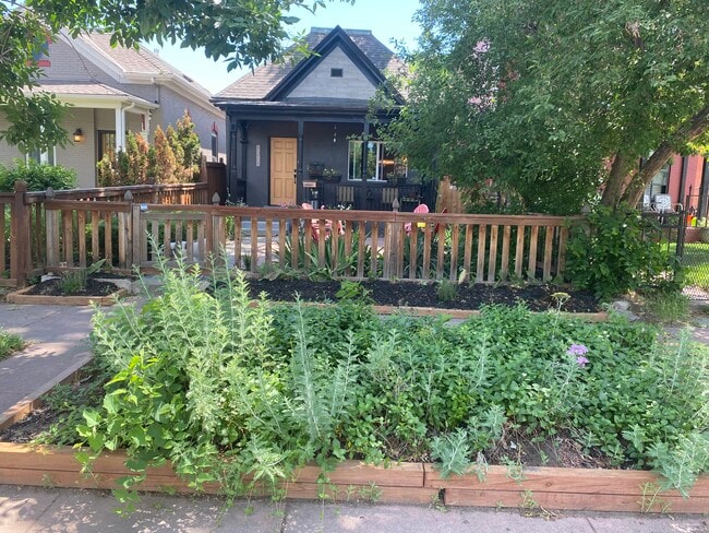 property at 1268 Lipan St