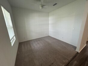 35675 Buttonweed Trl in Zephyrhills, FL - Building Photo - Building Photo
