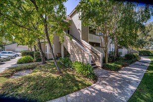 5837 Lake Crowley Pl in San Jose, CA - Building Photo