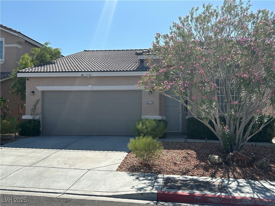 3217 Ridgecliff St in Las Vegas, NV - Building Photo