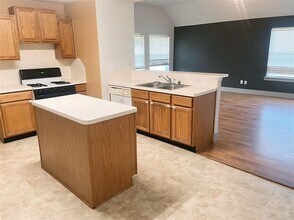 14866 Dorray Ln in Houston, TX - Building Photo - Building Photo