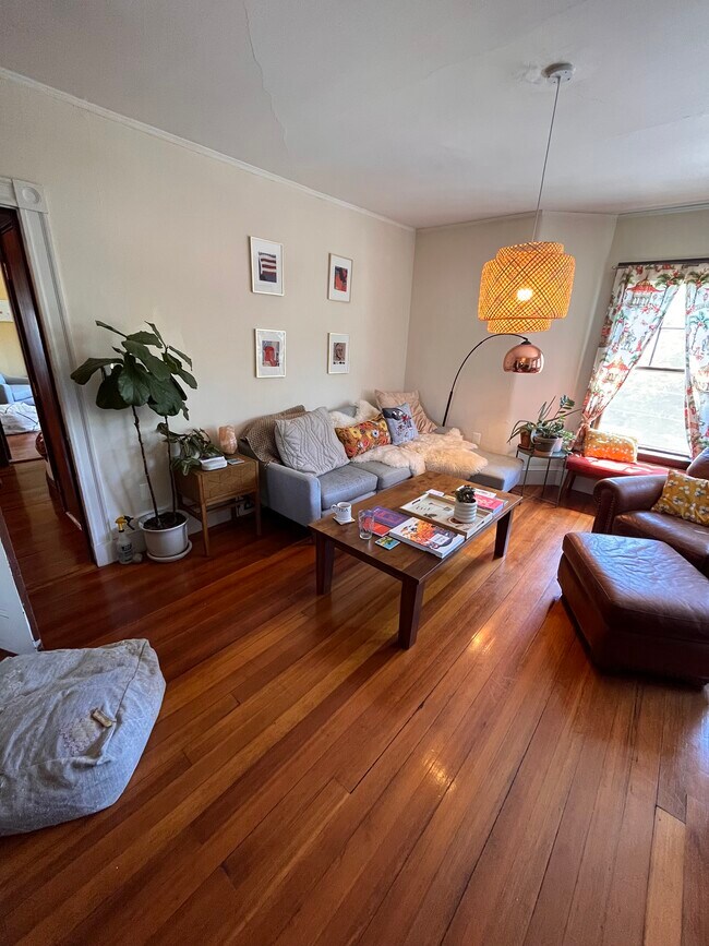 3 Hammond St, Unit 3 in Cambridge, MA - Building Photo - Building Photo