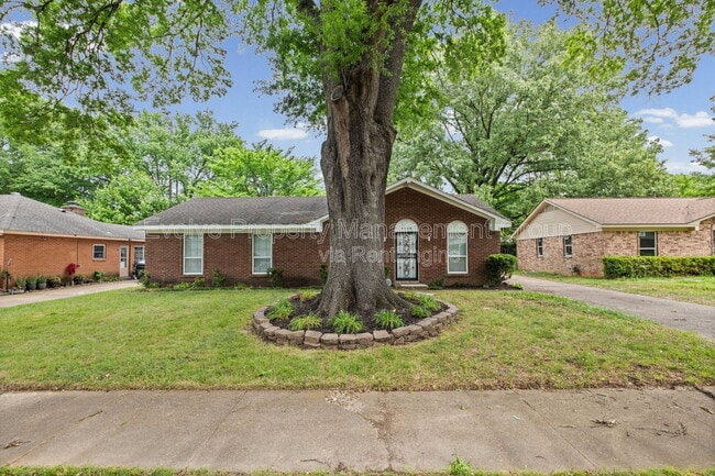 6326 Thornfield Dr in Memphis, TN - Building Photo - Building Photo