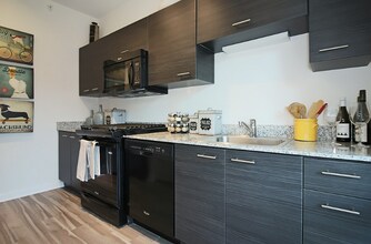 807 N LaSalle St in Chicago, IL - Building Photo - Building Photo