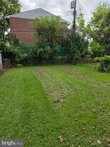 3807 Bowers Ave in Baltimore, MD - Building Photo