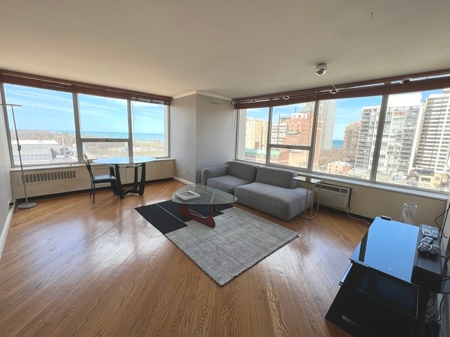 70 W Burton Pl, Unit 1203 in Chicago, IL - Building Photo - Building Photo