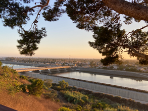 2151 Pacific Ave in Costa Mesa, CA - Building Photo - Building Photo