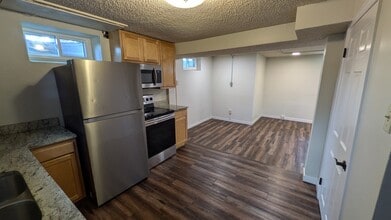 3685 Ivanhoe St, Unit Apt B in Denver, CO - Building Photo - Building Photo