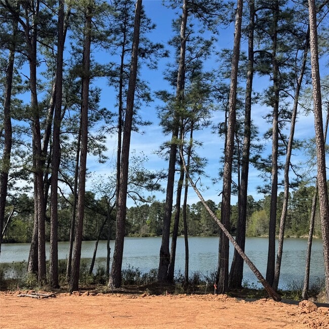 property at 6273 Alder Crk Dr