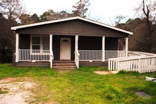 14203 E Ravine Run in Willis, TX - Building Photo