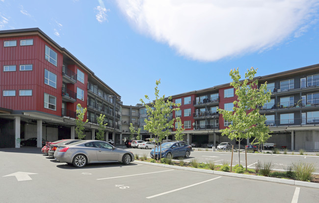 Station Street Apartments in Victoria, BC - Building Photo - Building Photo