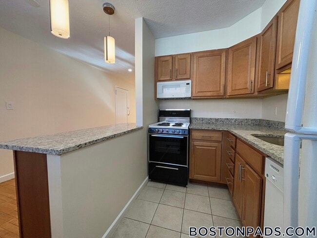 63 Parkman St, Unit 2A in Brookline, MA - Building Photo - Building Photo