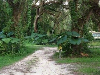 Old Somerset Acres in Spring Hill, FL - Building Photo