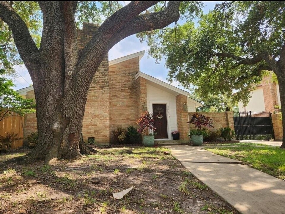 11303 Olympia Dr in Houston, TX - Building Photo
