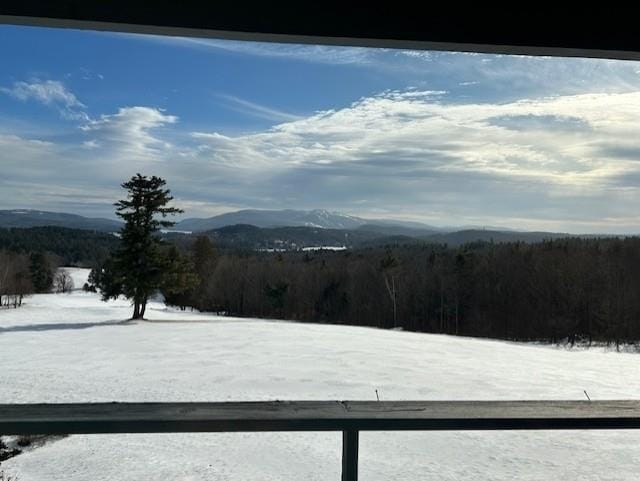 96 Fairway Dr in Sunapee, NH - Building Photo - Building Photo