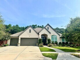 25202 Azel Shore Ct in Porter, TX - Building Photo