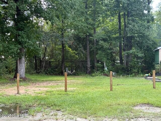3205 Mount Misery Rd NE in Leland, NC - Building Photo - Building Photo