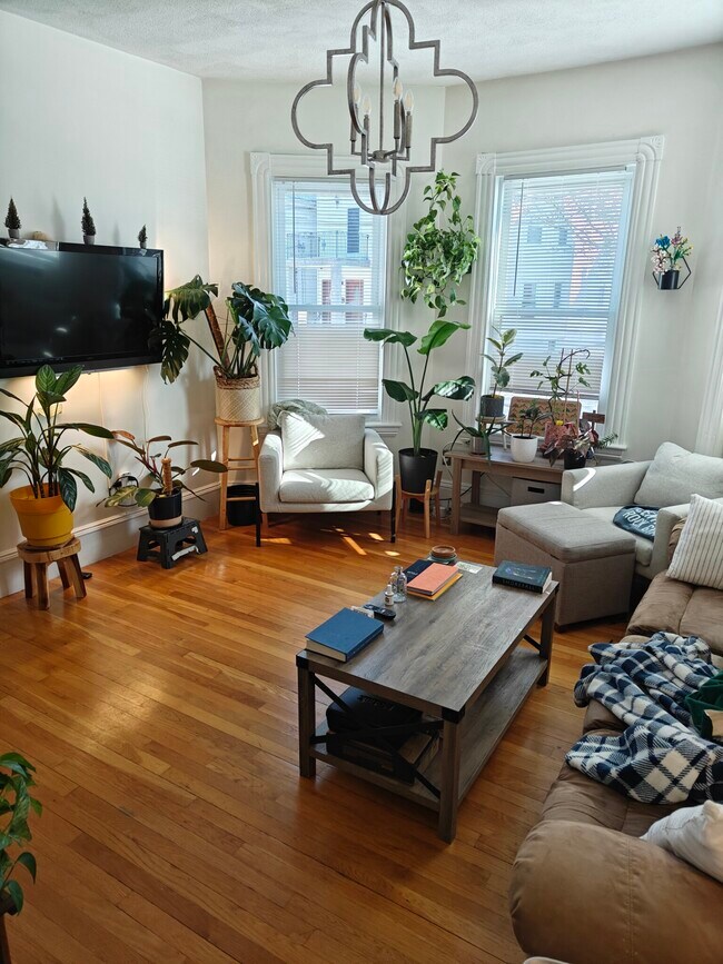 29 Radcliffe Rd, Unit 1 in Somerville, MA - Foto de edificio - Building Photo