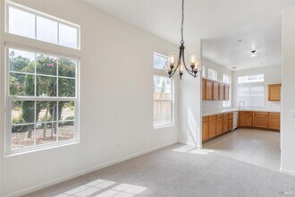 201 Spur Ridge Ln in Healdsburg, CA - Building Photo - Building Photo